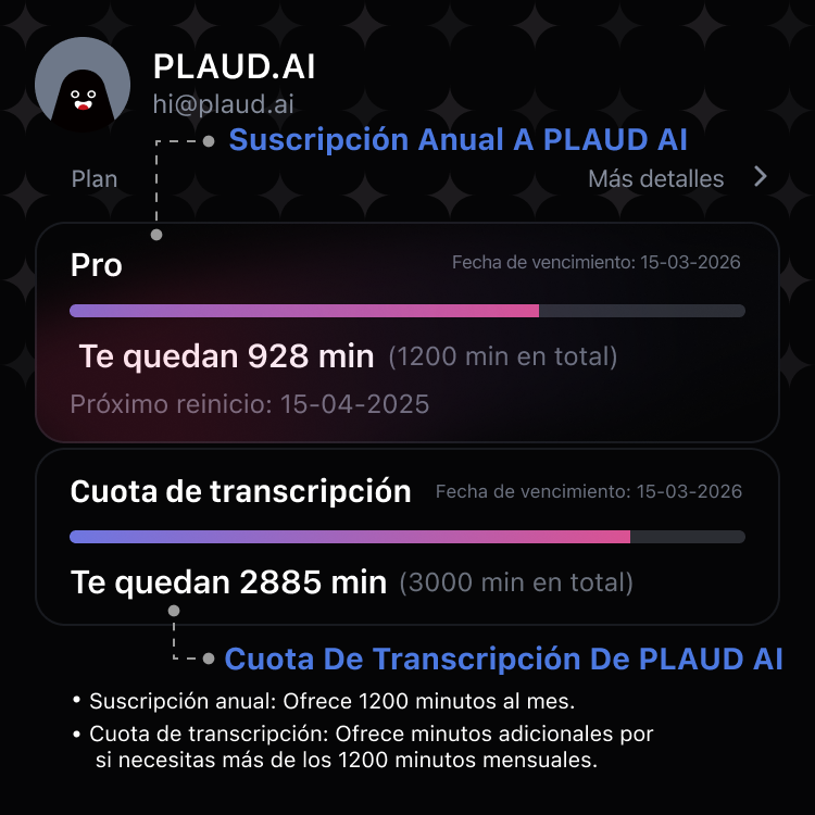 Cuota de transcripción de PLAUD AI