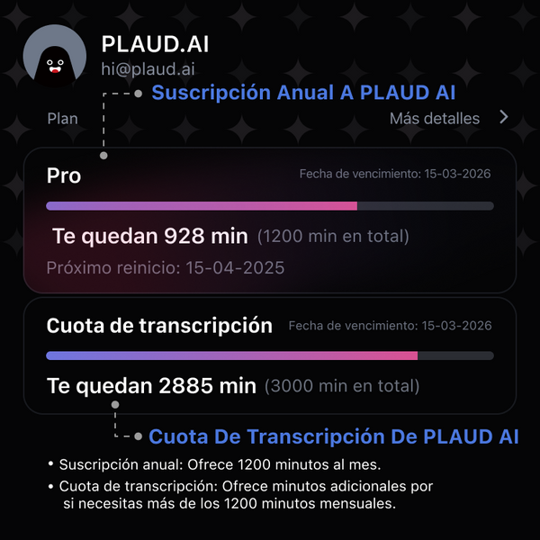 Cuota de transcripción de PLAUD AI
